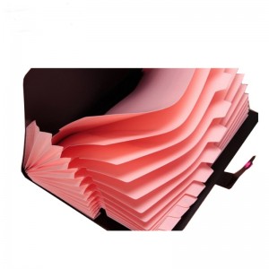 Bővítő mappa A5 betűméret PP műanyag zsebek több zsebszervező kibővíthető fájl